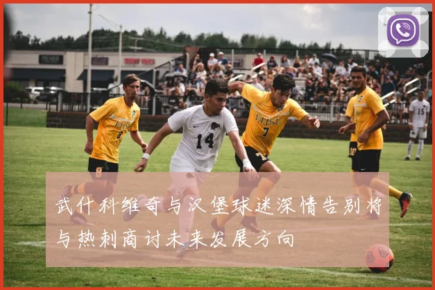 武什科维奇与汉堡球迷深情告别将与热刺商讨未来发展方向